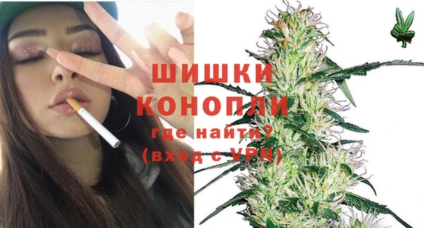 гидропоника Белокуриха