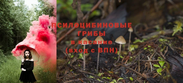 гидропоника Белокуриха