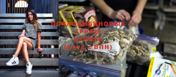 гидропоника Белокуриха