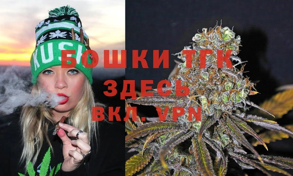 ешки Богородск